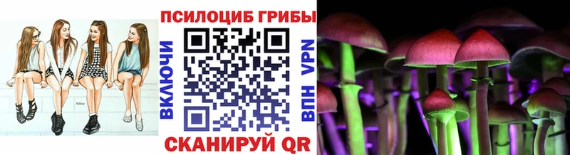 Галлюциногенные грибы прущие грибы Железногорск-Илимский