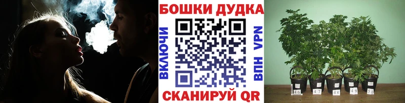Канабис конопля  Железногорск-Илимский 